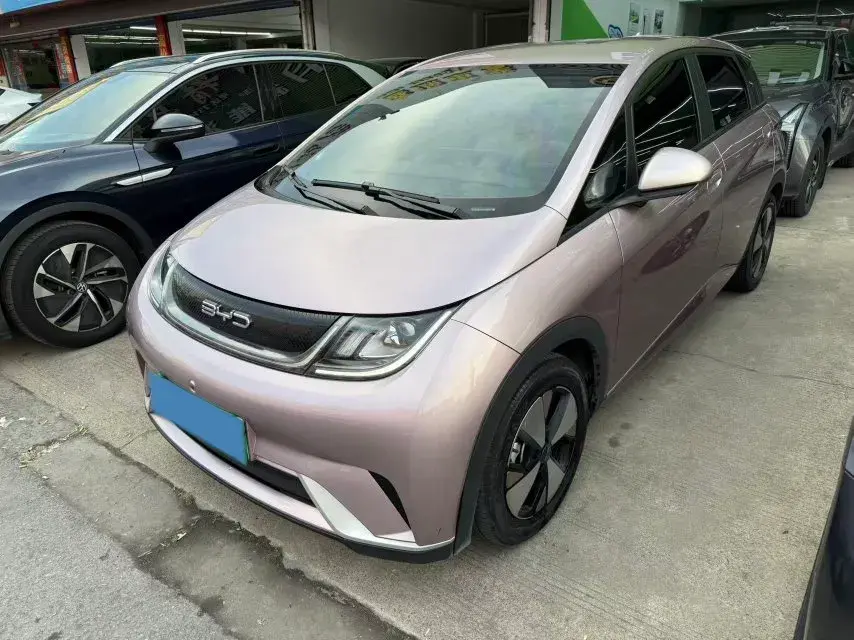 2023 BYD Dolphin BEV 44.928KWH