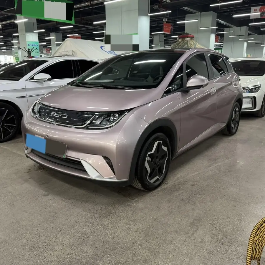 2021 BYD Yuan Pro BEV 50.1KWH