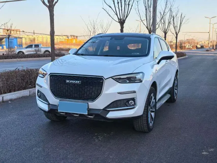 2020 Haval F5 1.5T 169HP L4 7DCT