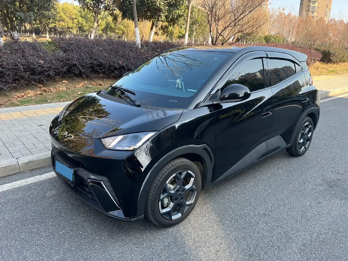 2025 BYD Seagull BEV 30.08KWH