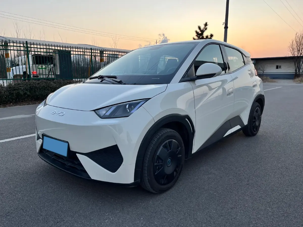 2025 BYD Seagull BEV 30.08KWH