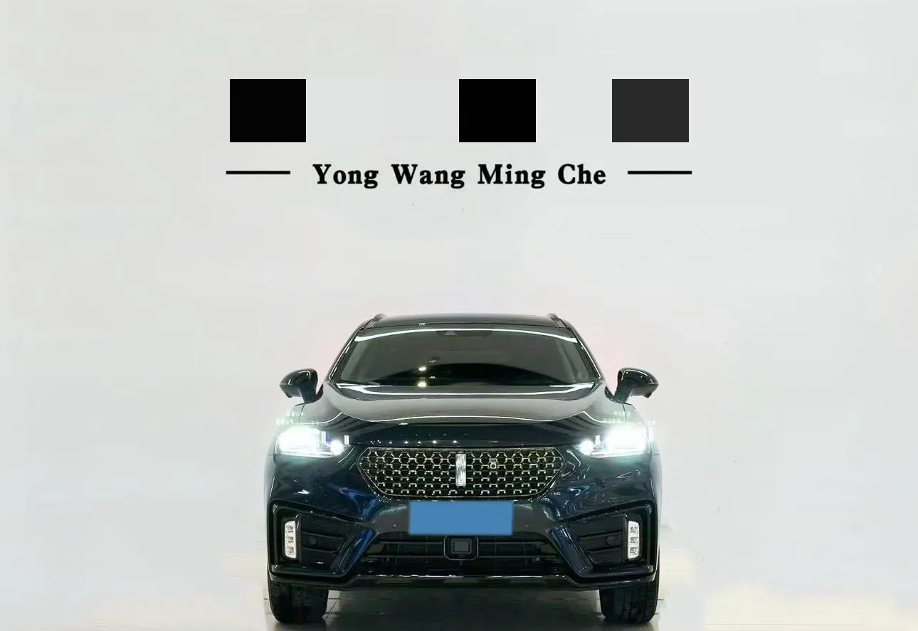 2020 WEY VV7 GT 2.0T 227HP L4 7DCT,autocango,china used car exporter,china ev exporter,chinese used car exporter,chinese used ev exporter