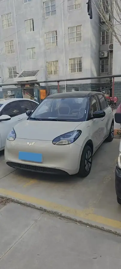 2025 WuLing BinGuo BEV