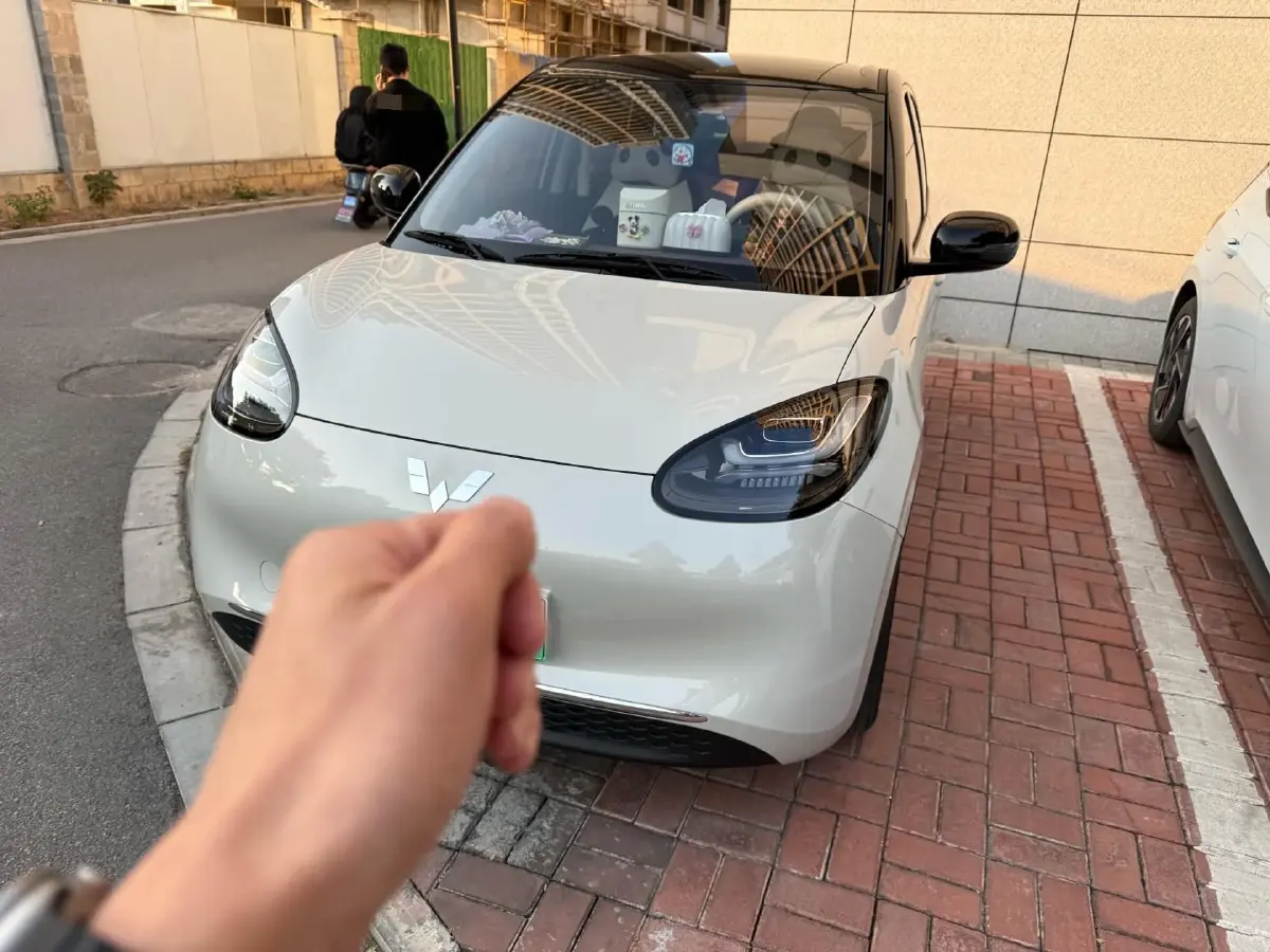 2024 WuLing BinGuo BEV 31.9KWH