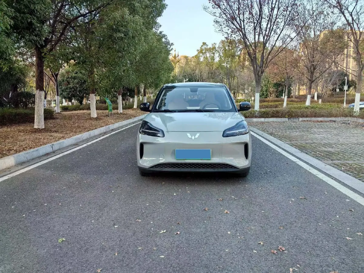2024 WuLing BinGuoPLUS BEV 50.6KWH,autocango,china used car exporter,china ev exporter,chinese used car exporter,chinese used ev exporter