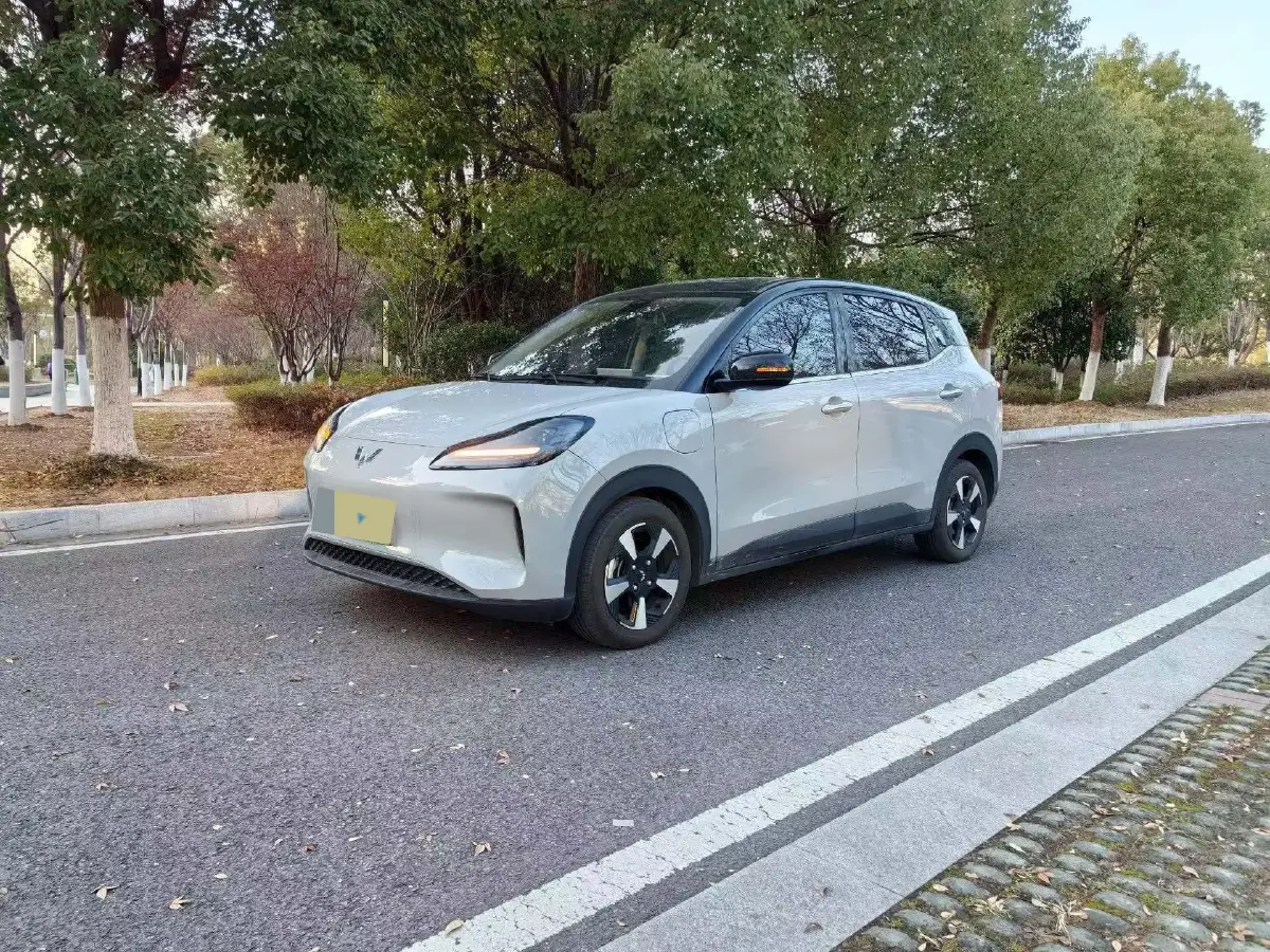 2024 WuLing BinGuoPLUS BEV 50.6KWH