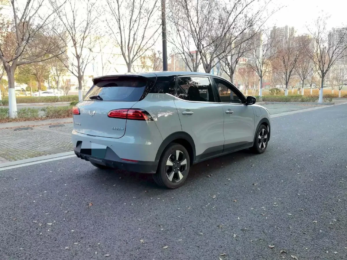 2024 WuLing BinGuoPLUS BEV 50.6KWH,autocango,china used car exporter,china ev exporter,chinese used car exporter,chinese used ev exporter