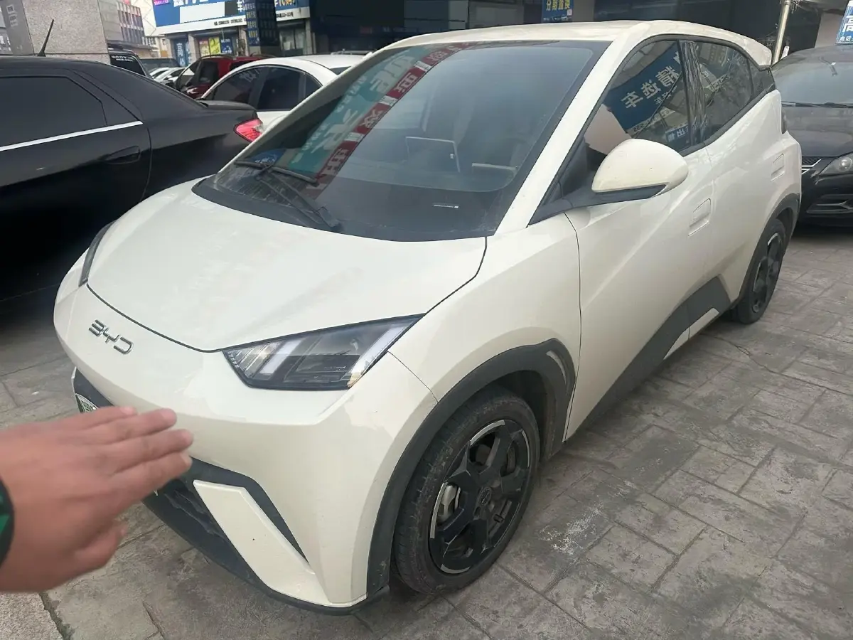 2023 BYD Yuan Pro BEV 38KWH