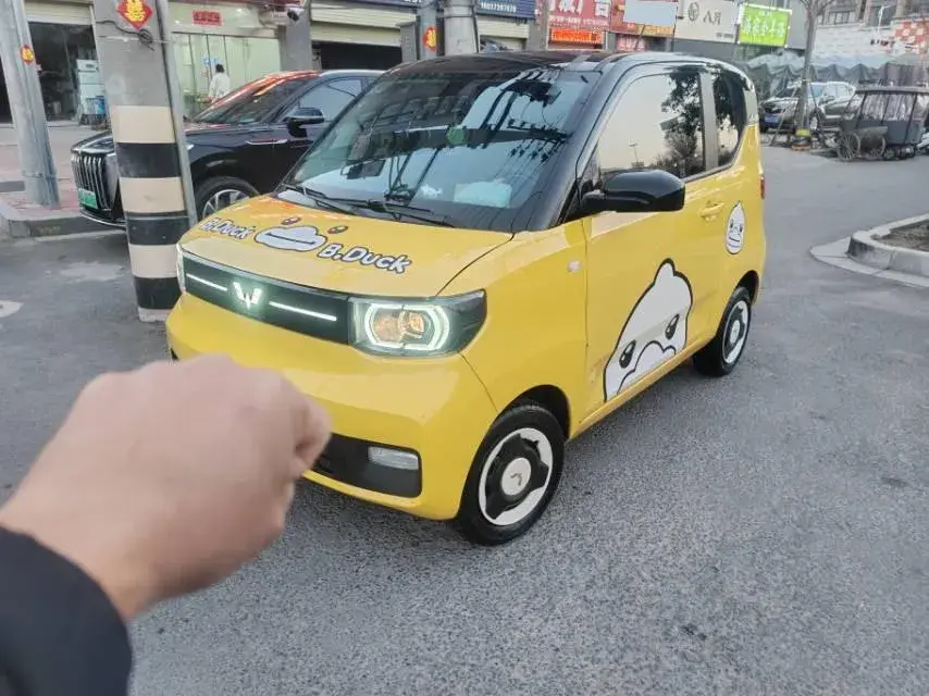 2020 WuLing HongGuang MINI EV BEV 13.8KWH