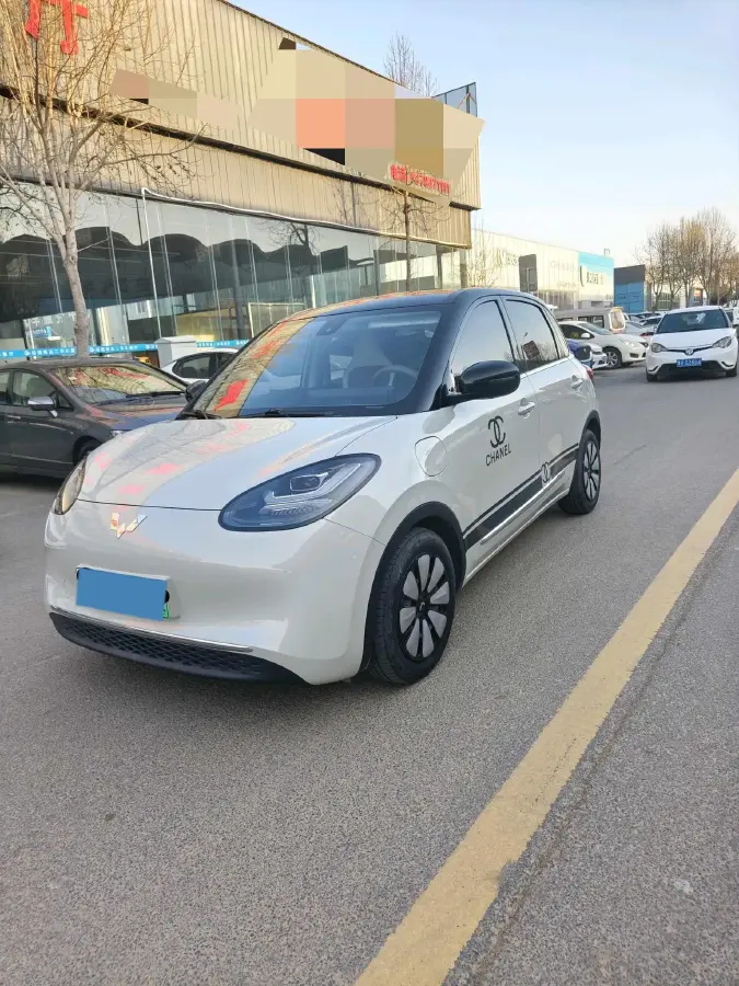 2023 WuLing BinGuo BEV 31.9KWH