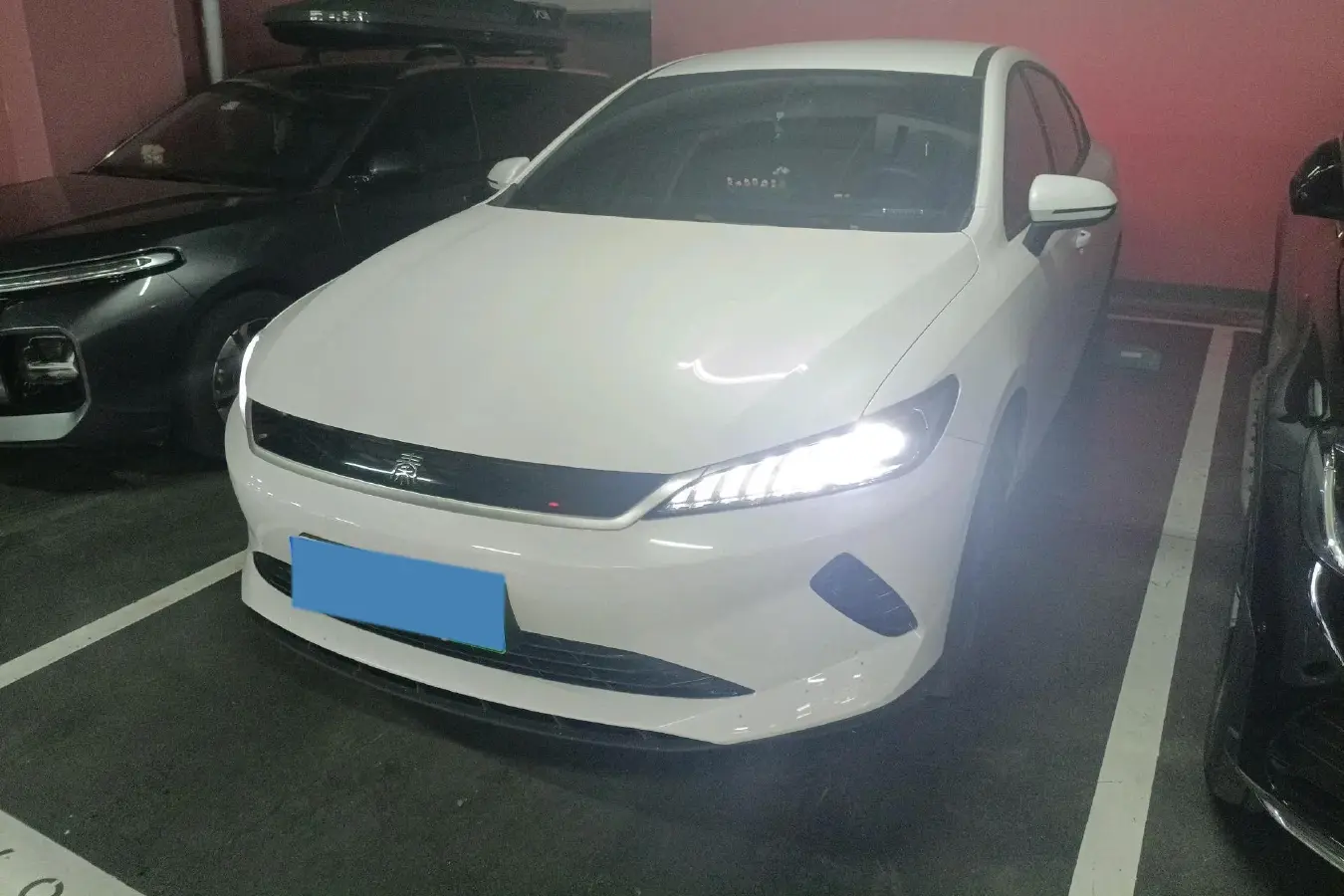 2025 BYD Qin Plus BEV
