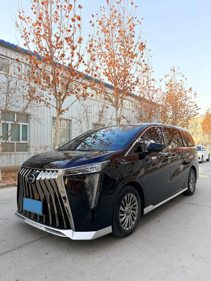 2023 GAC Trumpchi M8 2.0T 252HP L4 8AT