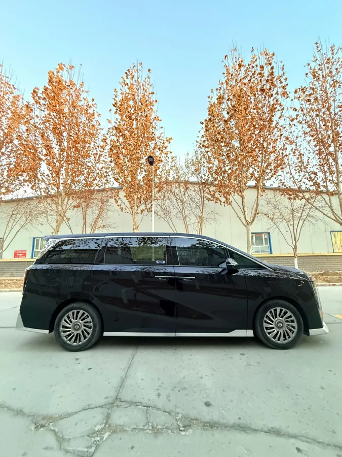 2023 GAC Trumpchi M8 2.0T 252HP L4 8AT,autocango,china used car exporter,china ev exporter,chinese used car exporter,chinese used ev exporter