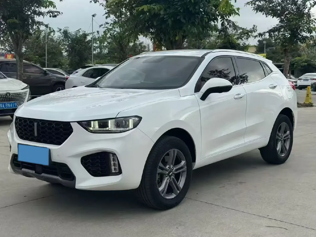 2019 WEY VV5 2.0T 197HP L4 7DCT