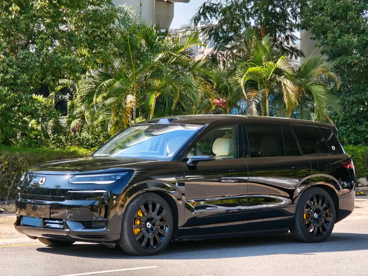 2025 Denza DenzaN9 2.0T 207HP L4 E-CVT PHEV