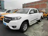 2017 FODAY LION F22,autocango,china used car exporter,china ev exporter,chinese used car exporter,chinese used ev exporter