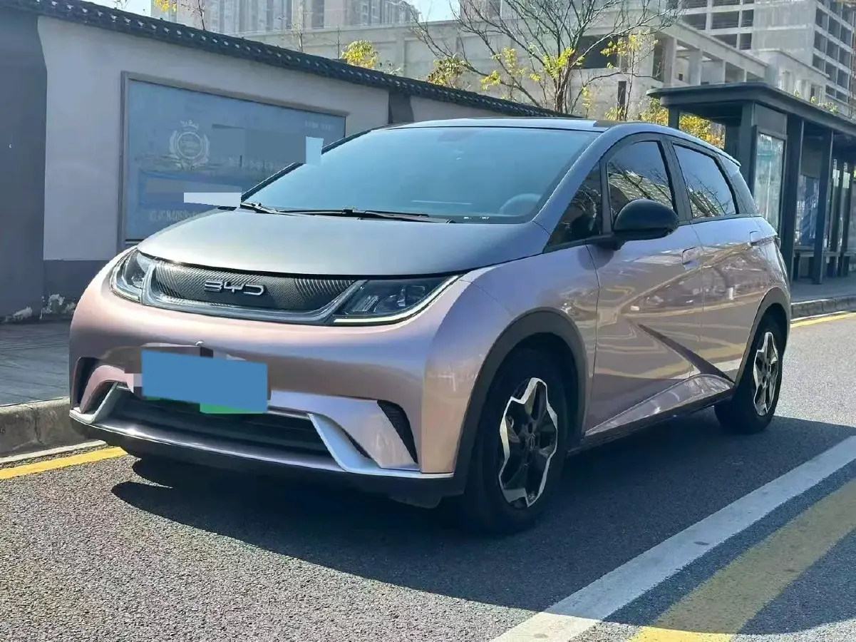 2021 BYD Yuan Pro BEV 50.1KWH