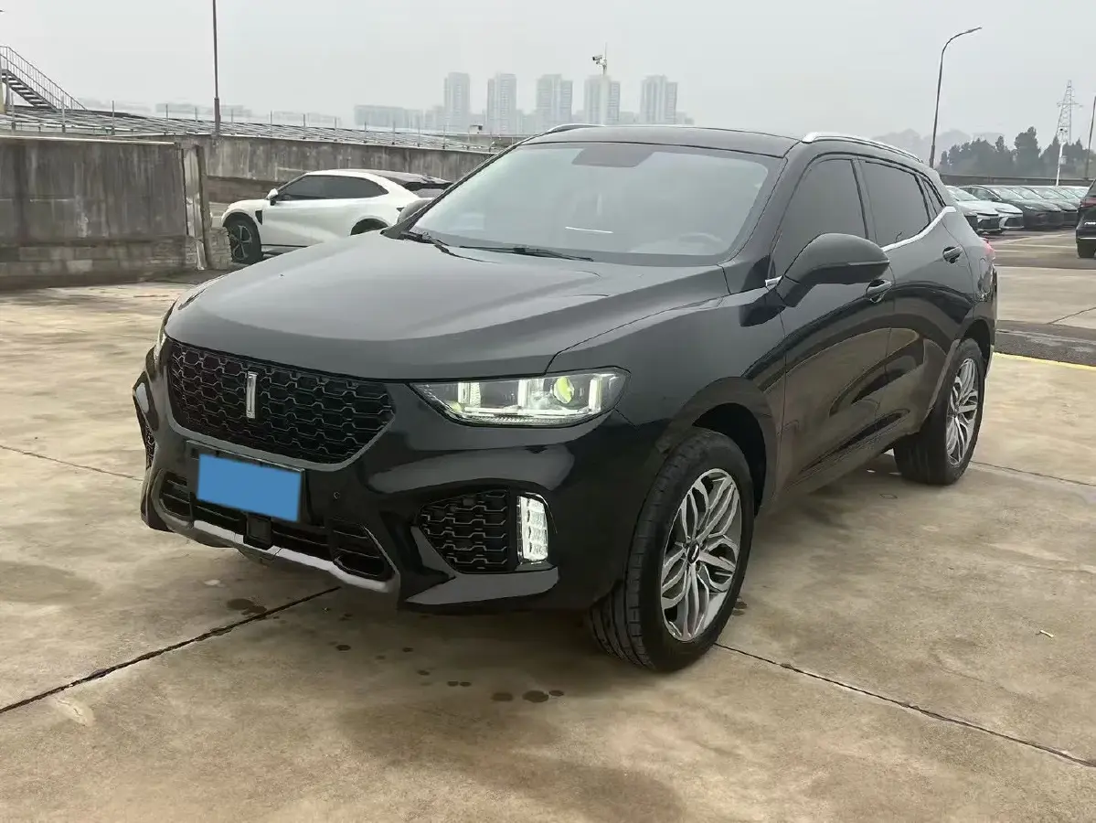 2019 WEY VV5 2.0T 224HP L4 7DCT