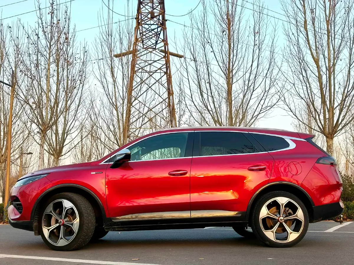 2020 Denza X 2.0T 192HP L4 6DCT PHEV 24KWH,autocango,china used car exporter,china ev exporter,chinese used car exporter,chinese used ev exporter