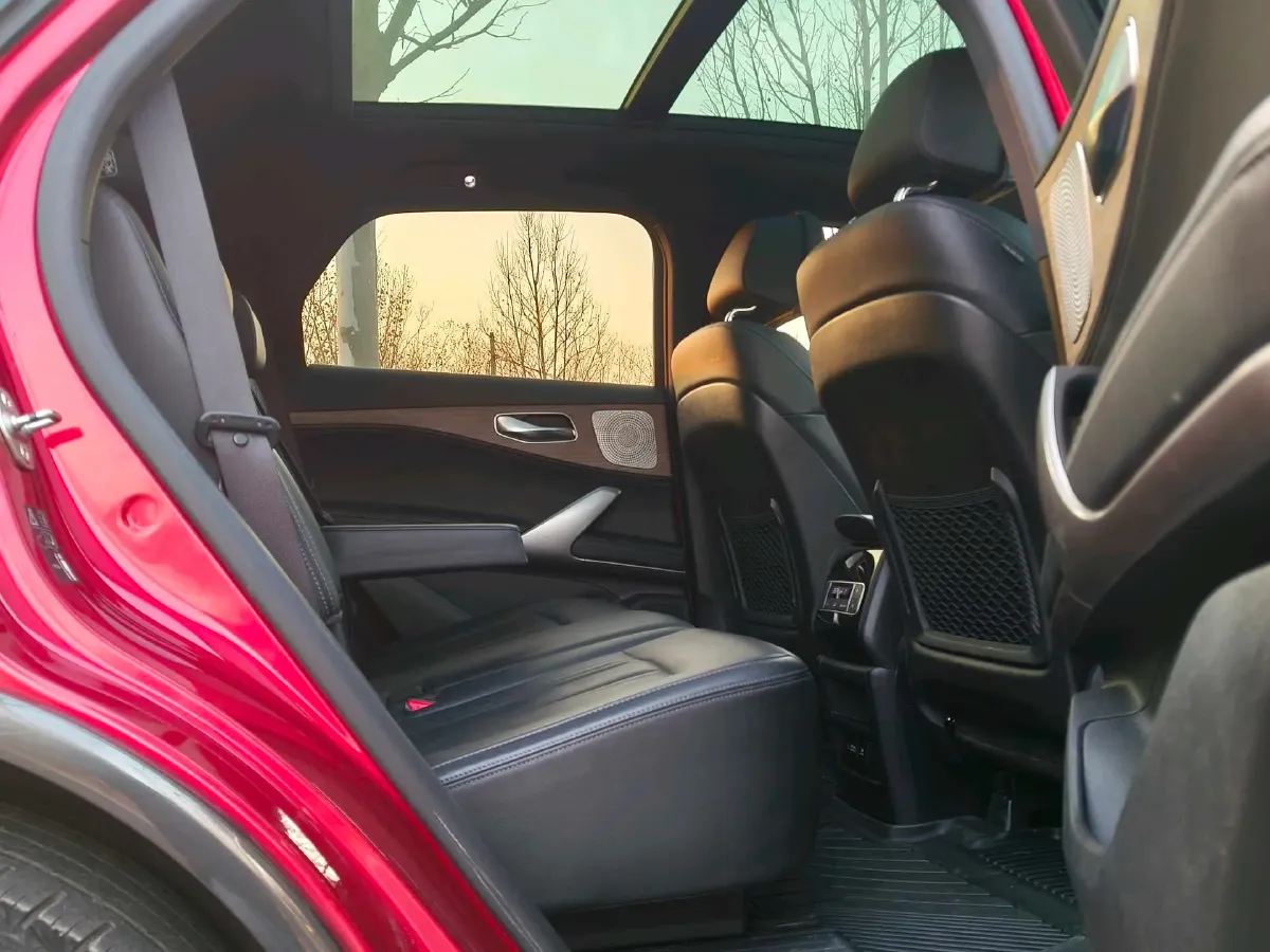 2020 Denza X 2.0T 192HP L4 6DCT PHEV 24KWH,autocango,china used car exporter,china ev exporter,chinese used car exporter,chinese used ev exporter