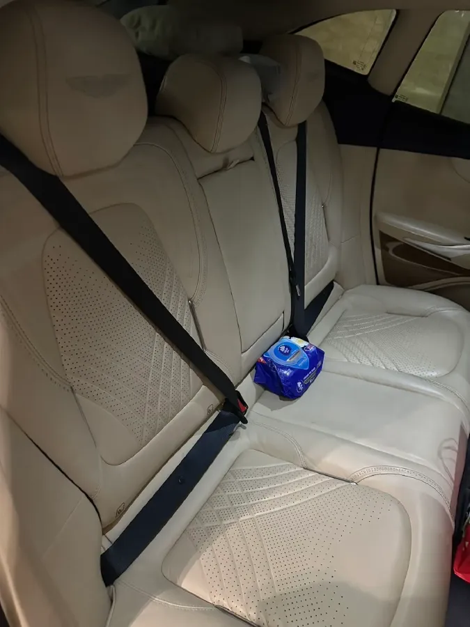 2021 Aston Martin DBX 4.0T 550HP V8 9AT,autocango,china used car exporter,china ev exporter,chinese used car exporter,chinese used ev exporter