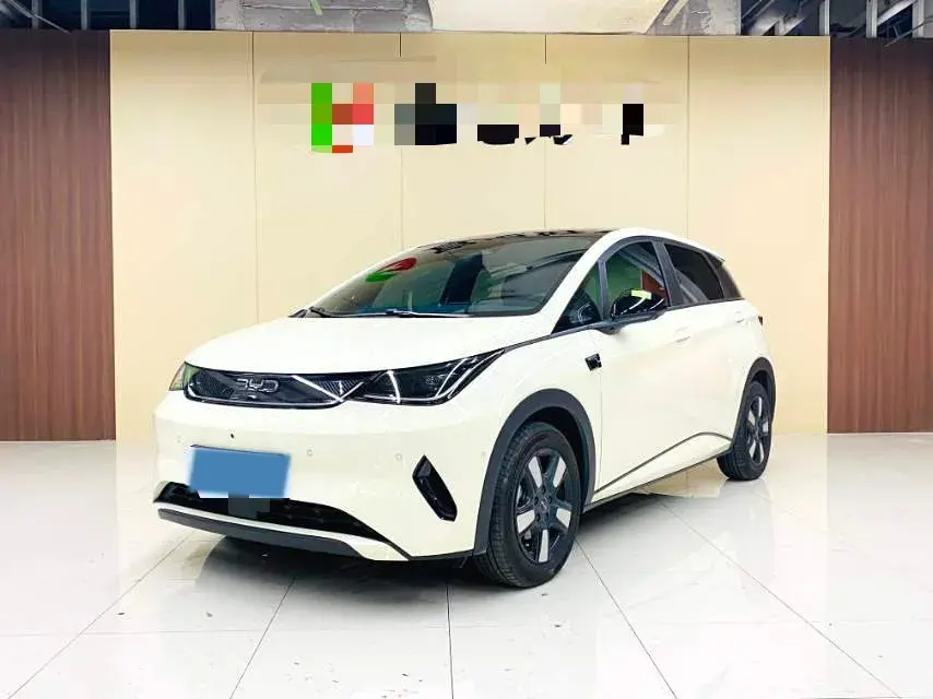 2025 BYD Dolphin BEV 45.12KWH