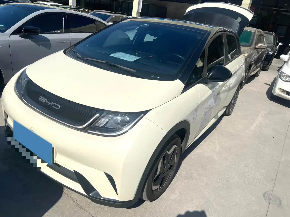 2021 BYD Yuan Pro BEV 50.1KWH
