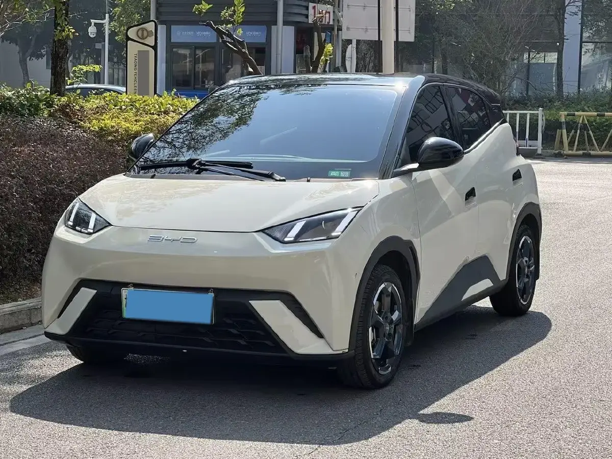 2023 BYD Yuan Pro BEV 38KWH