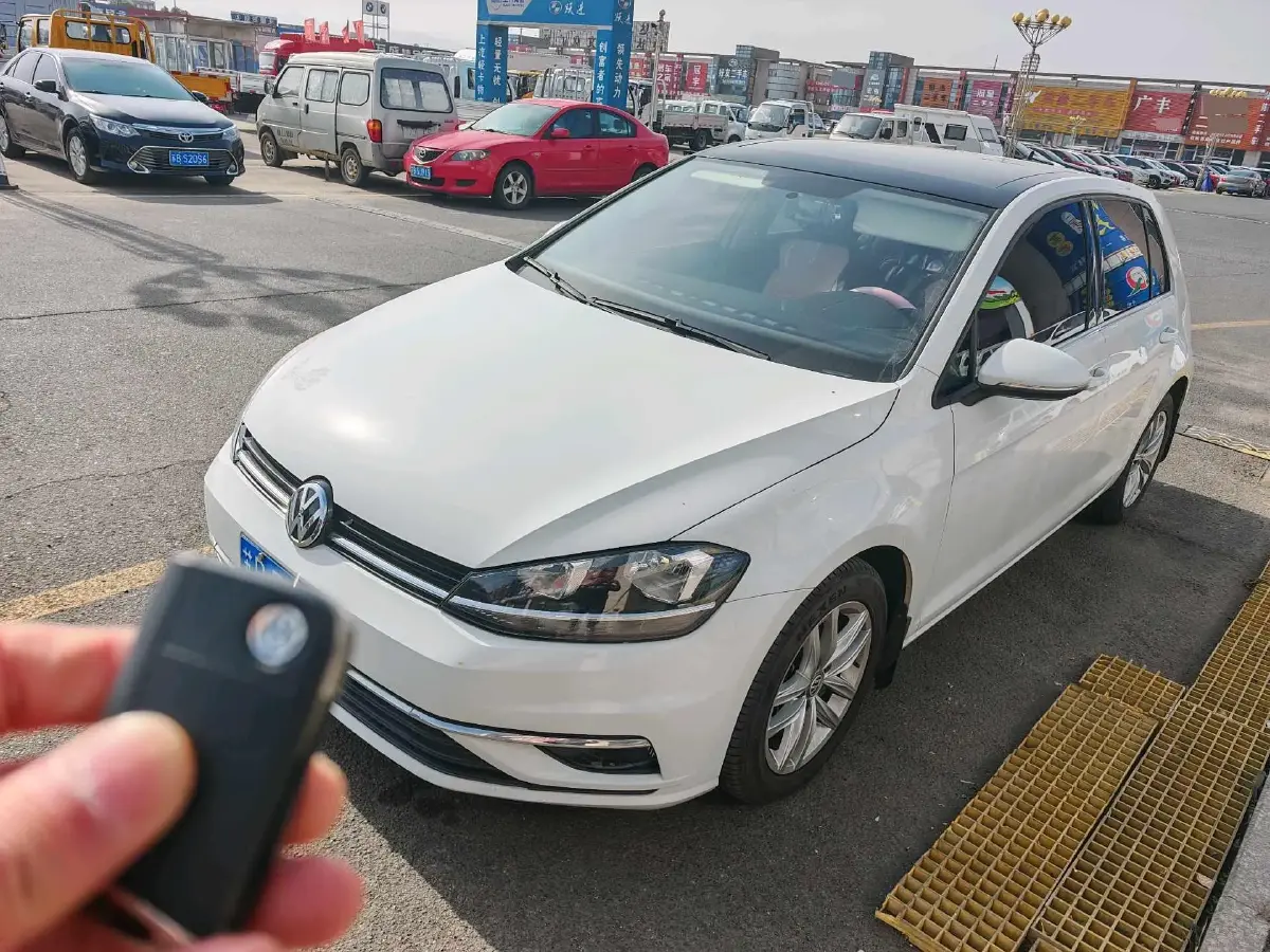 2019 Volkswagen Golf 1.6L 110HP L4 6AT