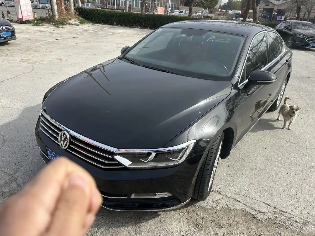 2018 Volkswagen Magotan 2.0T 220HP L4 7DCT