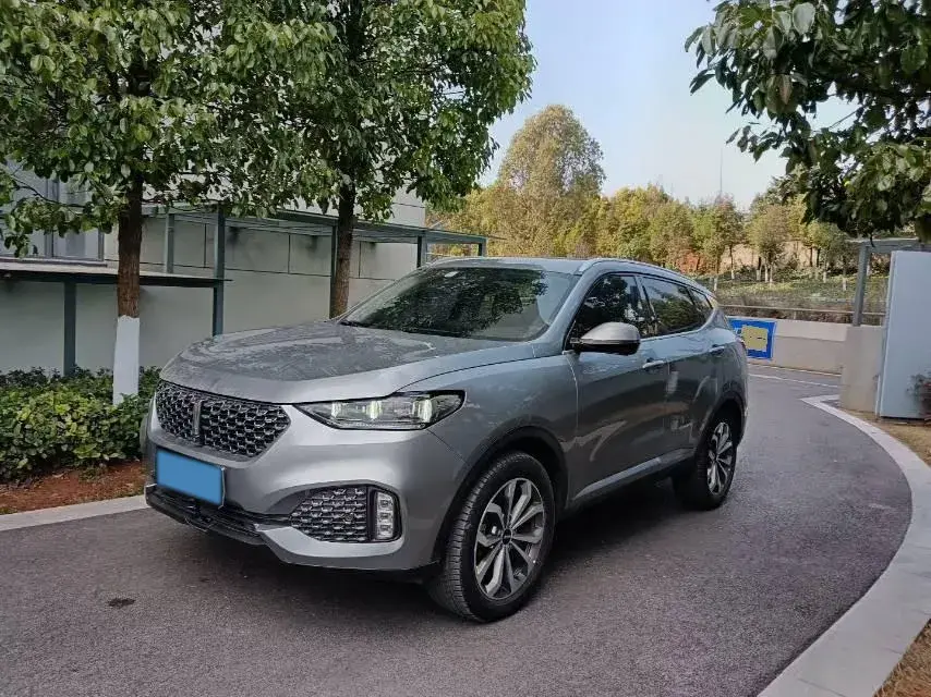 2019 WEY VV6 2.0T 224HP L4 7DCT