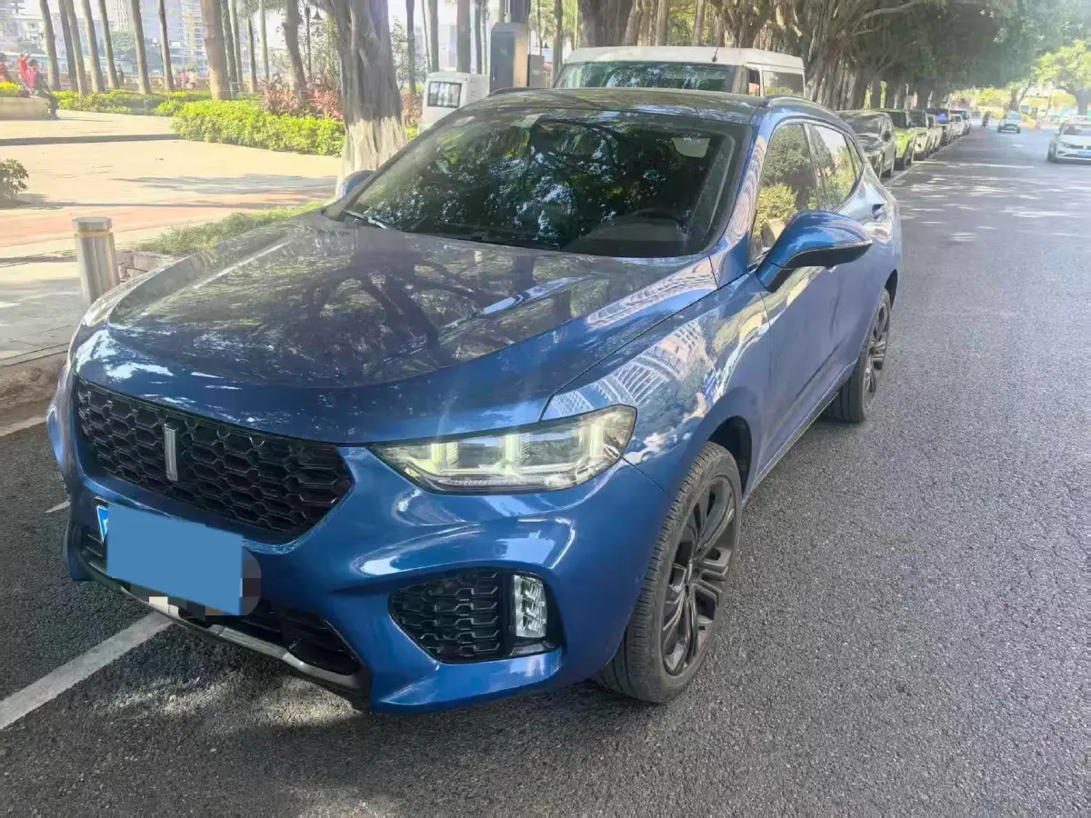 2017 WEY VV5 2.0T 197HP L4 7DCT