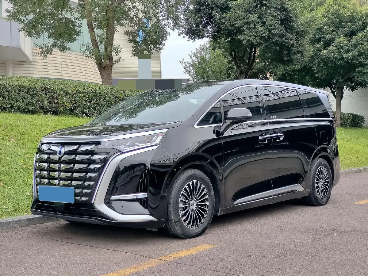 2023 Denza D9 1.5T 139HP L4 E-CVT PHEV 11.06KWH