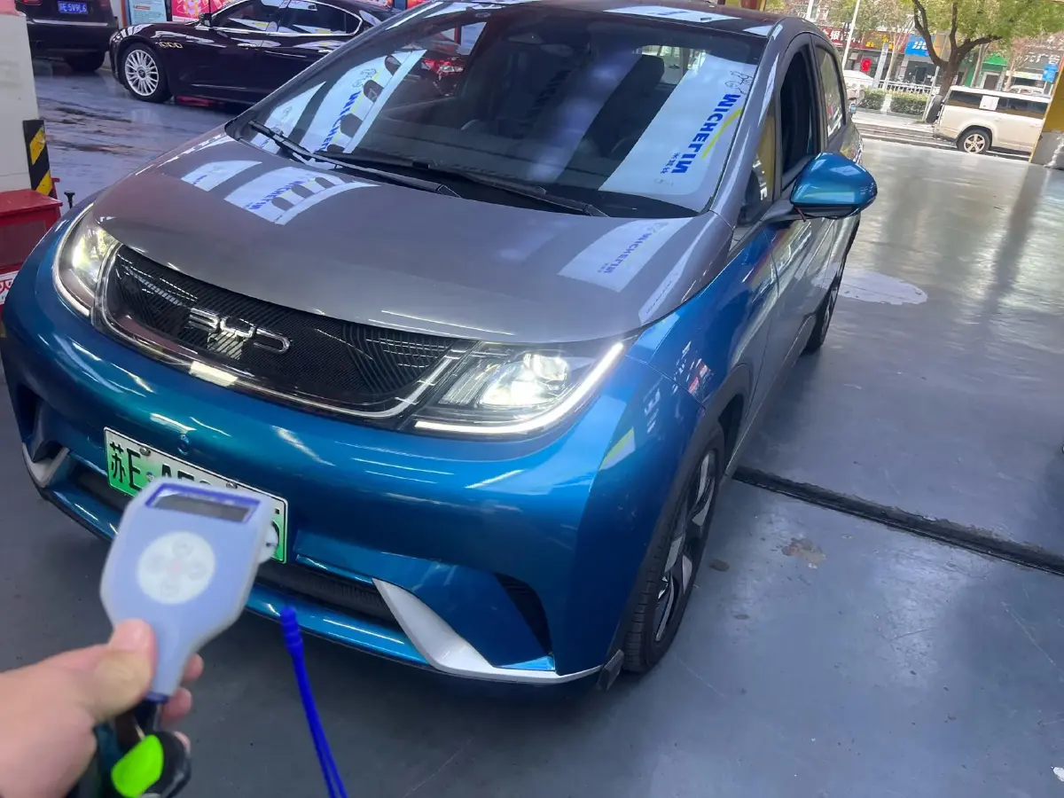 2023 BYD Dolphin BEV 44.928KWH