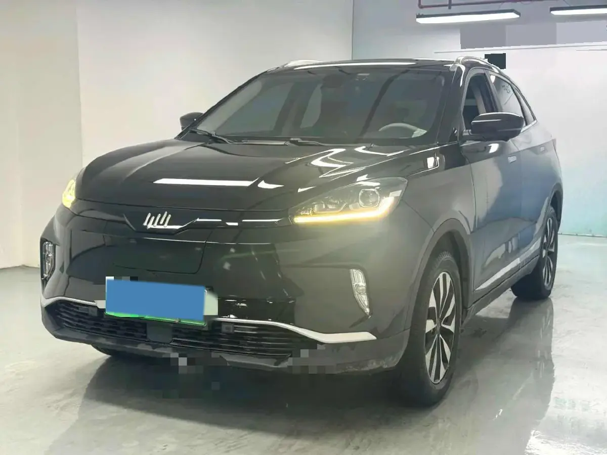 2018 Weltmeister EX5 BEV 56.94KWH