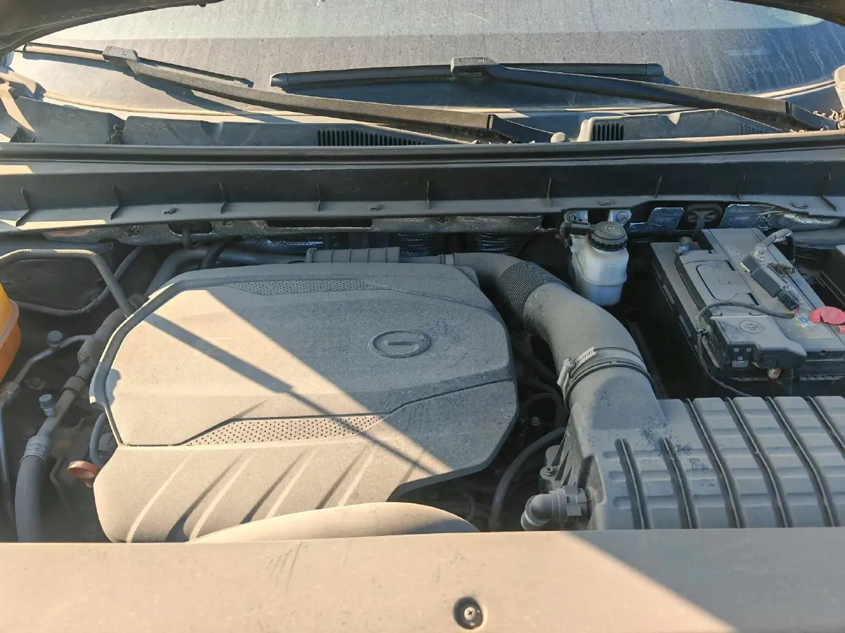 2020 GAC Trumpchi GS8 2.0T 252HP L4 6AT,autocango,china used car exporter,china ev exporter,chinese used car exporter,chinese used ev exporter