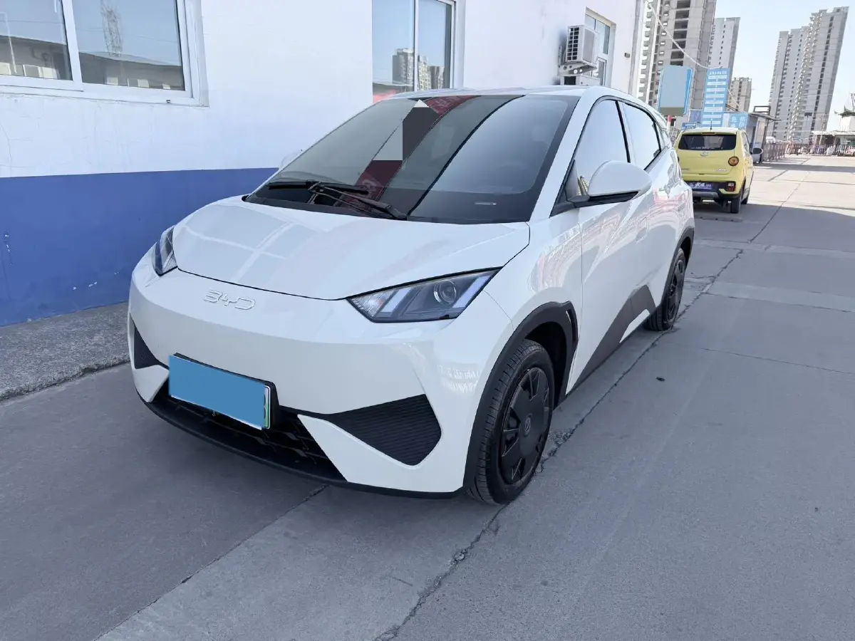 2025 BYD Seagull BEV 30.08KWH