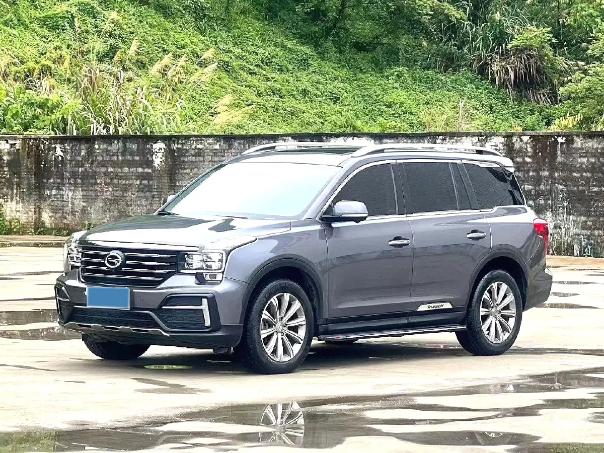 2020 GAC Trumpchi GS8 2.0T 252HP L4 6AT