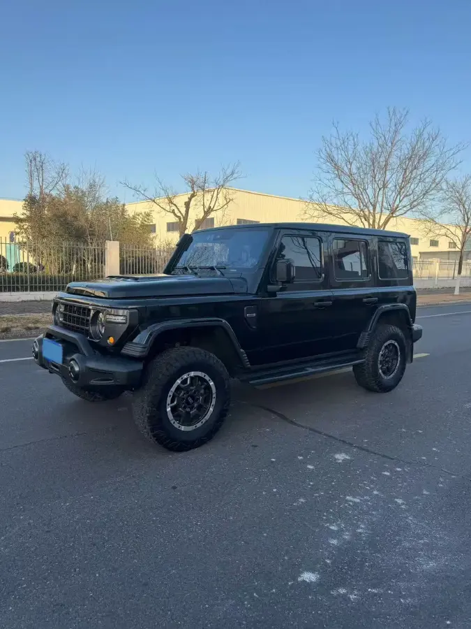 2025 212 212 T01 2.0T 252HP L4 8AT