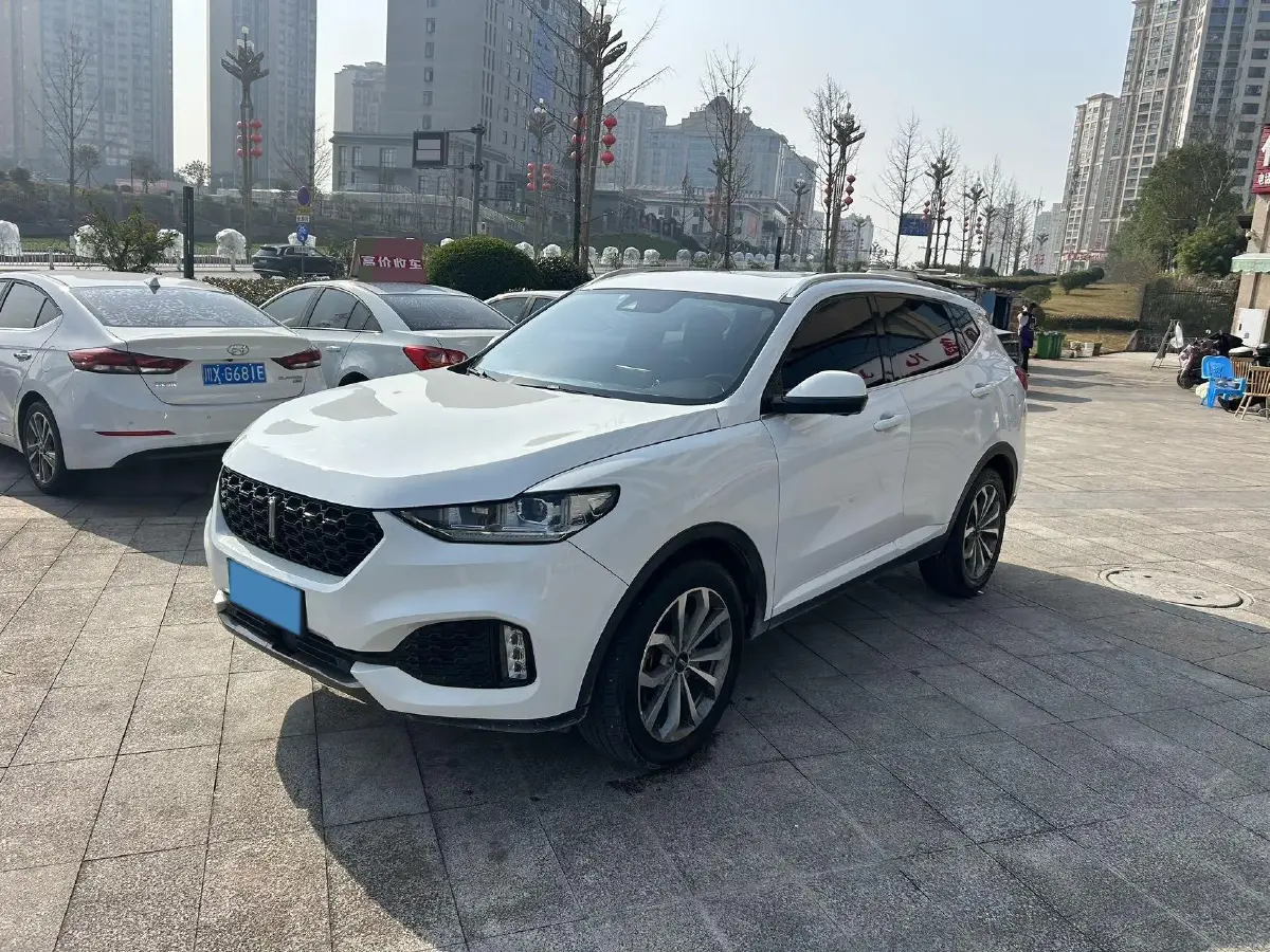 2018 WEY VV6 2.0T 197HP L4 7DCT