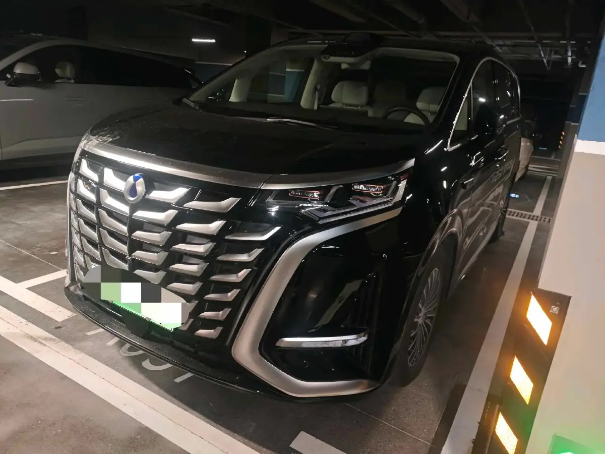 2025 Denza D9 1.5T 156HP L4 E-CVT PHEV 40KWH