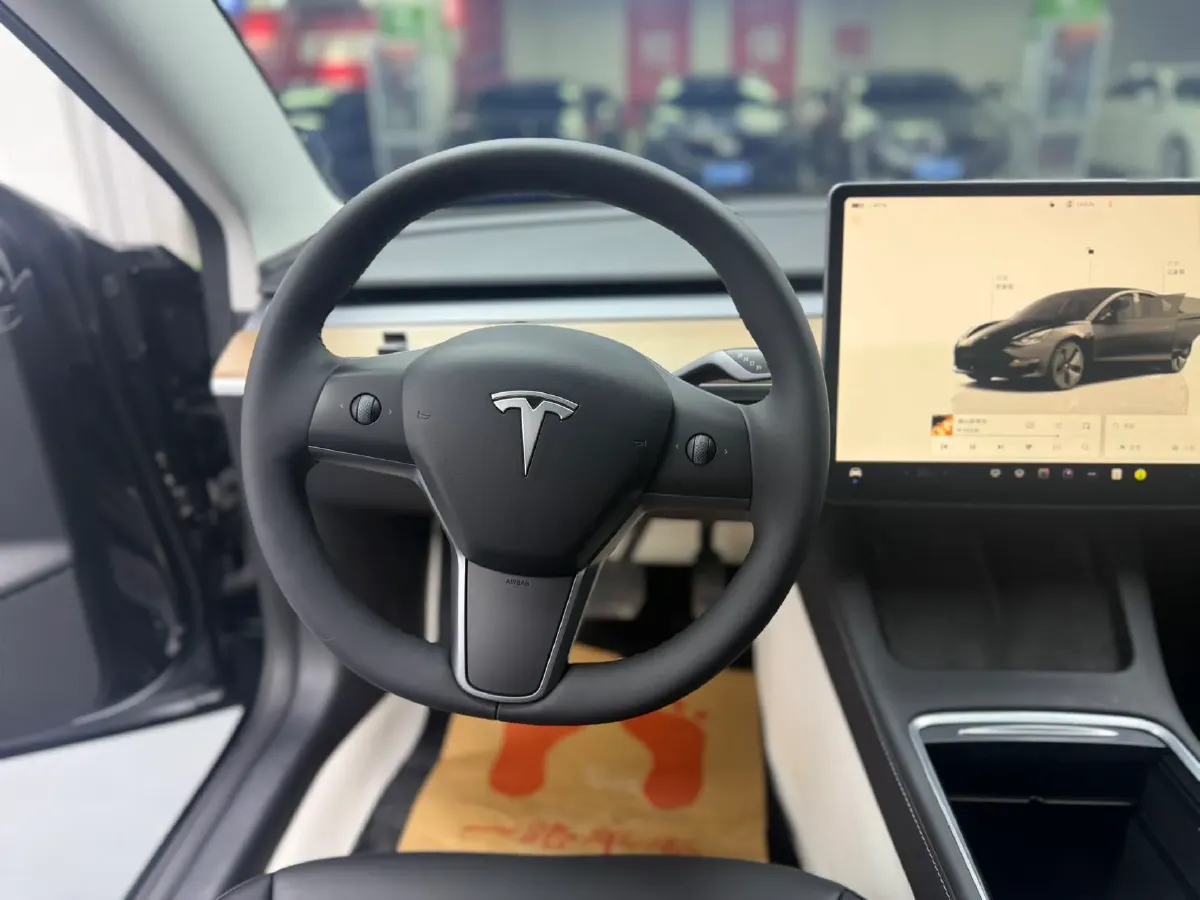 2022 Tesla Model 3 BEV 60KWH,autocango,china used car exporter,china ev exporter,chinese used car exporter,chinese used ev exporter