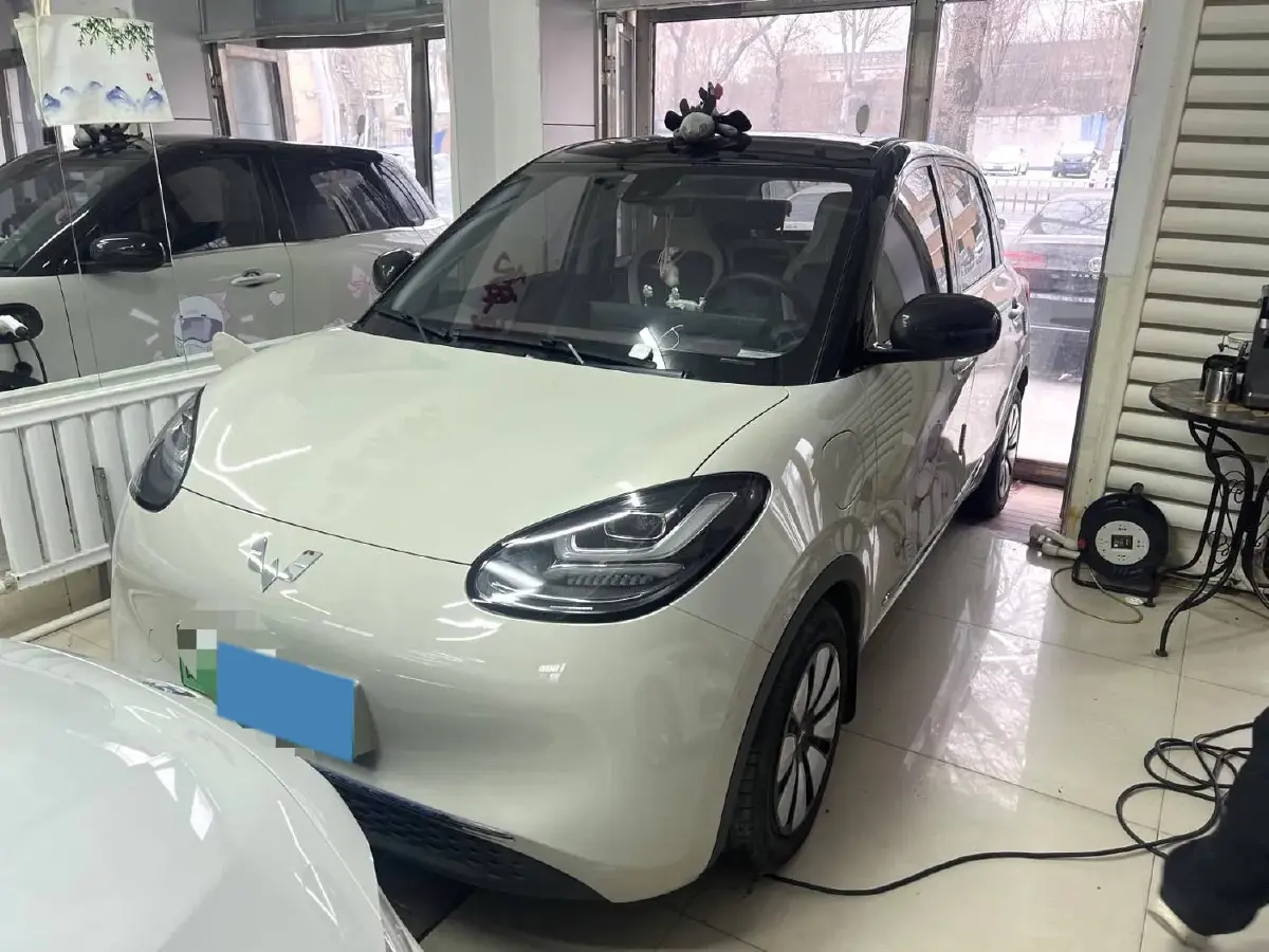 2023 WuLing BinGuo BEV 31.9KWH