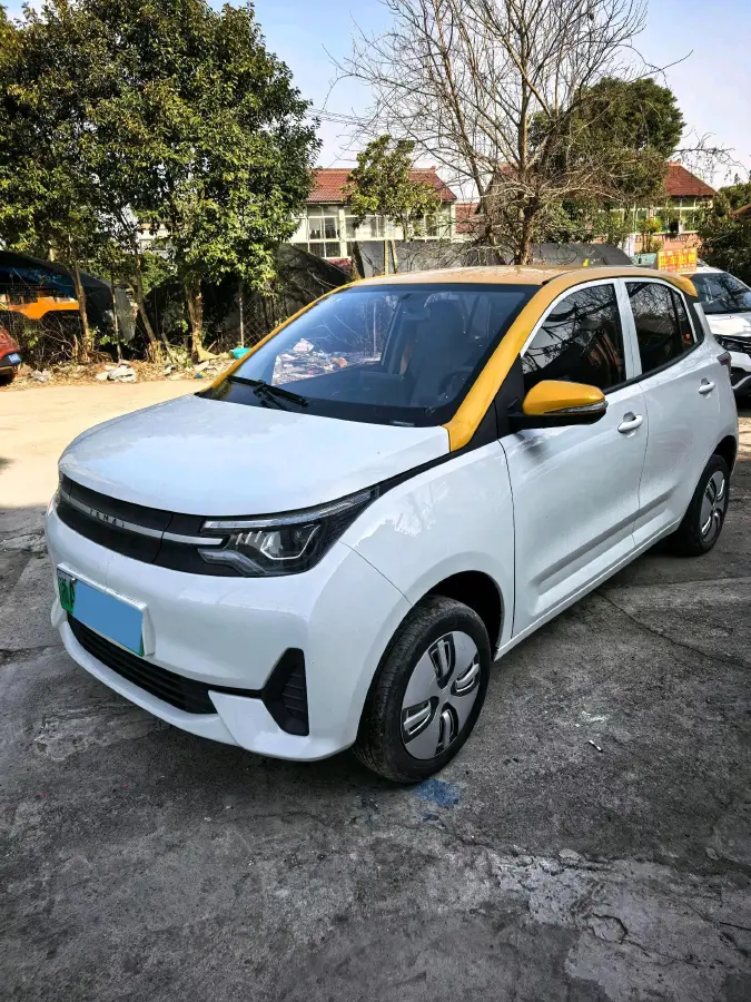 2021 Levdeo Mango BEV 17.28KWH