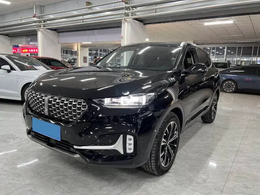 2021 WEY VV6 2.0T 227HP L4 7DCT