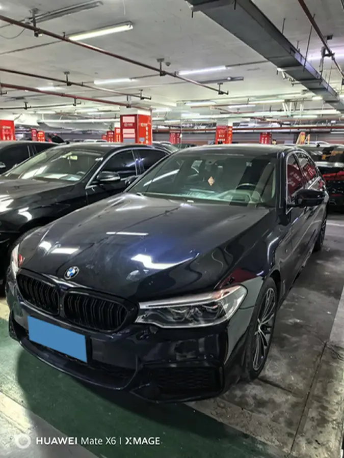 2020 BMW 5 Series 2.0T 252HP L4 8AT