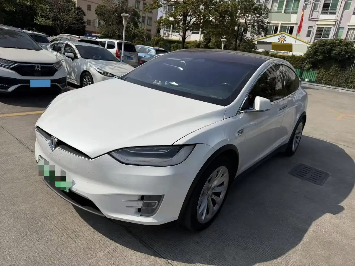 2019 Tesla Model X BEV 100KWH
