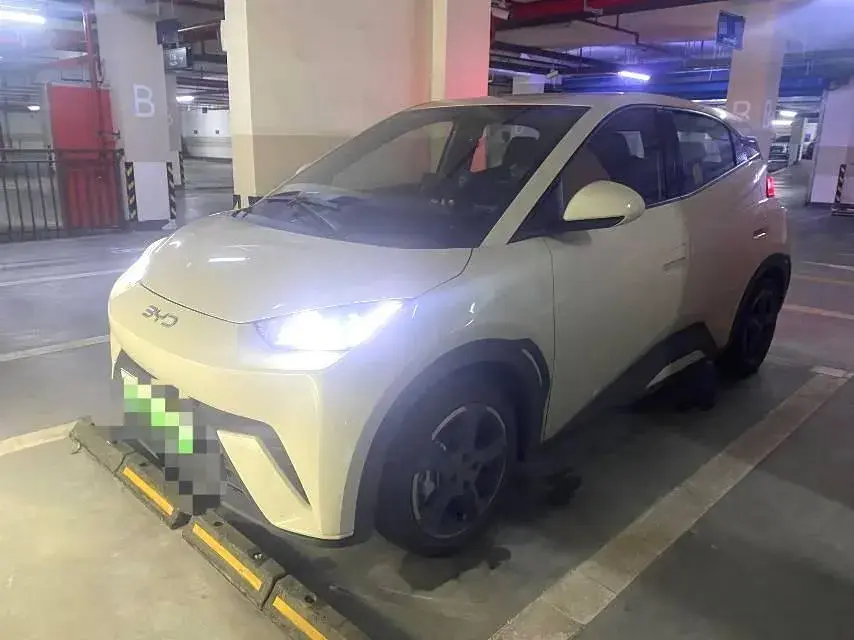 2024 BYD Seagull BEV 30.08KWH