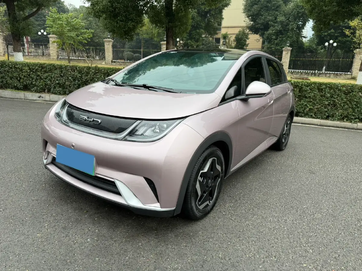 2021 BYD Yuan Pro BEV 50.1KWH