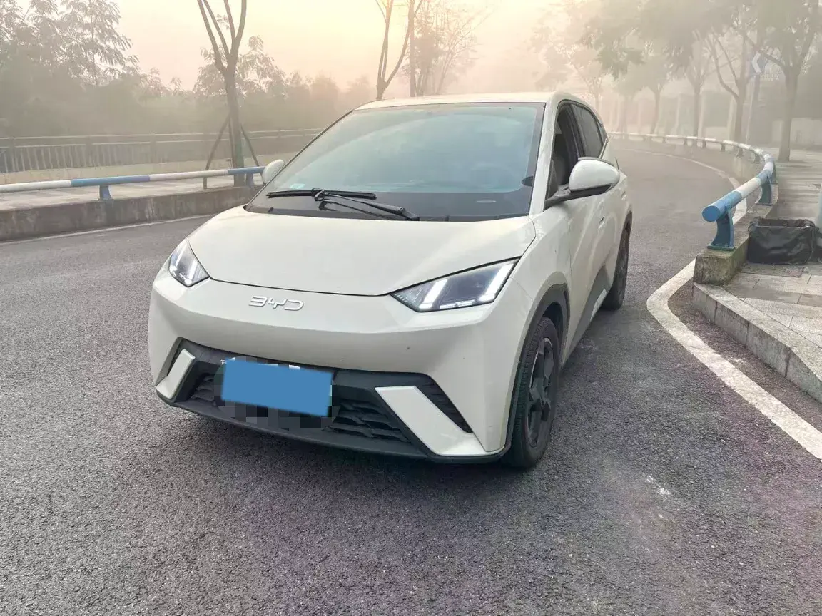 2024 BYD Seagull BEV 30.08KWH
